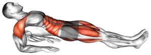 Exercise video 2
