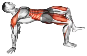 Reverse Plank with Leg Lift demo video 2