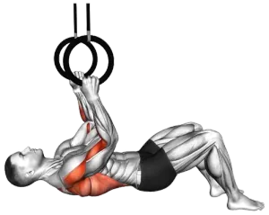 Ring Bent-Knee Inverted Row thumbnail thumbnail