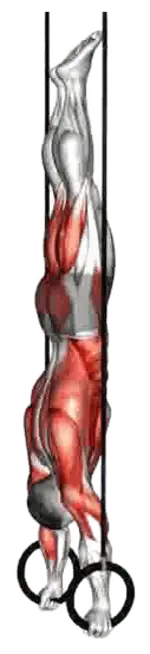 Ring Handstand thumbnail thumbnail