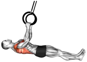 Ring Parallel Inverted Row to Floor the demo video 2