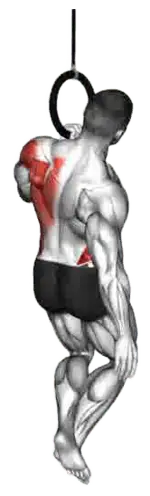 Ring Single-Arm Pull-Up thumbnail thumbnail