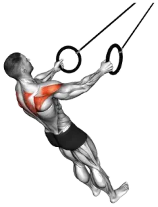 Ring Rear-Delt Fly thumbnail thumbnail