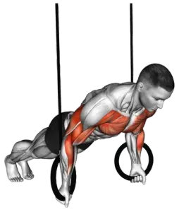Ring Reverse Push-Up thumbnail thumbnail