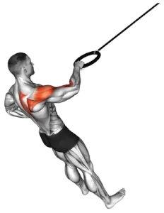 Ring Single-Arm Rear-Delt Row thumbnail thumbnail