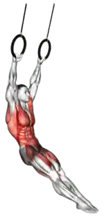 Ring Swing thumbnail