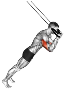 Ring Triceps Extension thumbnail thumbnail