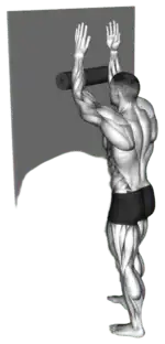 Standing Against-Wall Forearm Roll demo video 2