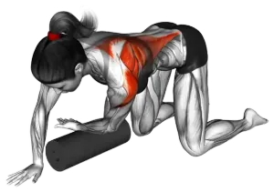 Kneeling Upper-Back Rotation Roll thumbnail