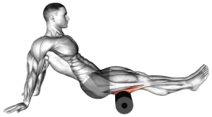 Seated Shoulder Flexor Depressor Retractor Roll thumbnail thumbnail