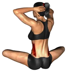 Seated Back Twist thumbnail thumbnail