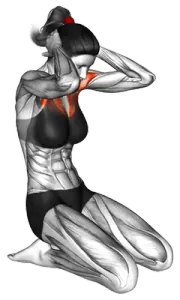 Seated Chest Clam thumbnail thumbnail