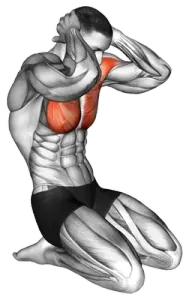 Exercise video 2
