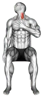 Seated Backward Neck Stretch thumbnail thumbnail