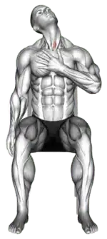 Seated Side Neck Upward Stretch thumbnail thumbnail