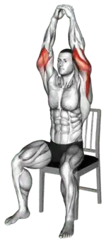 Chair Seated Overhead Triceps Extension thumbnail thumbnail