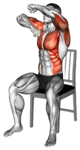 Chair Seated Boxing Rotating Roll thumbnail thumbnail