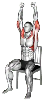Exercise video 2