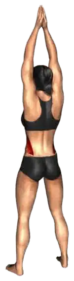 Side-Bend Arm-Above thumbnail thumbnail