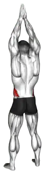 Exercise video 2