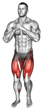 Alternating Bodyweight Lateral Lunge demo video 2