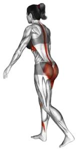Bodyweight Single-Leg Deadlift with Arm Leg Extended thumbnail thumbnail
