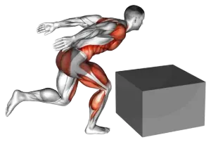 Box Single-Leg Jump thumbnail thumbnail