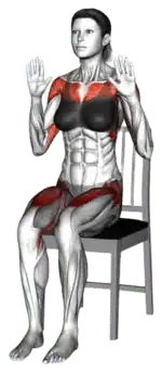 Alternating Chair Seated Palm Push & March thumbnail thumbnail