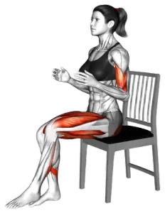 Chair Seated Arm Stepout Curl thumbnail