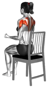 Chair Seated Open Elbow Tucked thumbnail