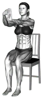Chair Seated Finger Stretch thumbnail thumbnail