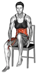 Chair Seated Front-Leg Lift Under-Knee Tap thumbnail thumbnail