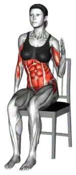 Chair Seated Hip Sway thumbnail thumbnail