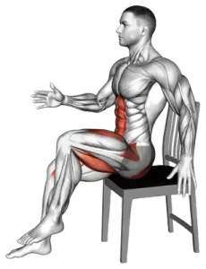Chair Seated March demo video 2
