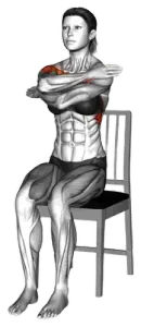 Chair Seated Arm Stacked Lift thumbnail thumbnail