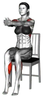 Chair Seated Toe Tip Clap thumbnail thumbnail