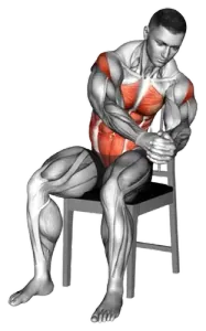 Exercise video 2
