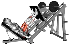 Sled Glute Dominant Leg Press thumbnail