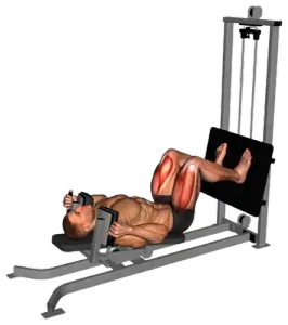 Sled Lying Squat thumbnail