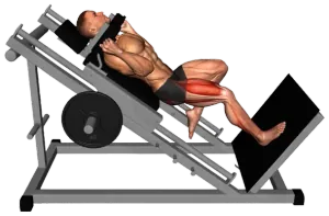 Exercise video 2