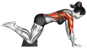 Towel Floor Sliding Pulldown thumbnail thumbnail
