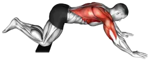 Exercise video 2