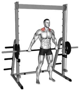 Exercise video 2