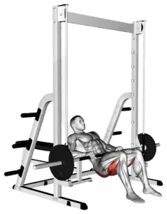 Smith-Machine Hip Thrust demo video 2
