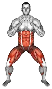 Double-Knee Squat to Elbow thumbnail