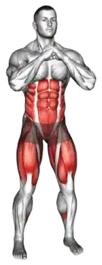 Exercise video 2