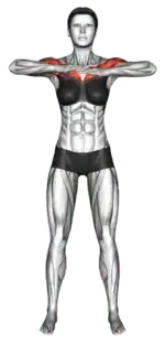Alternating Standing Elbow Arm-Cross & Lift thumbnail thumbnail