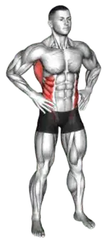 Exercise video 2