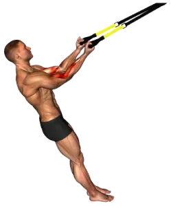 Exercise video 2