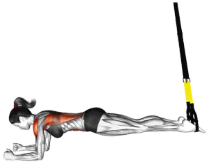 TRX Bodysaw thumbnail thumbnail